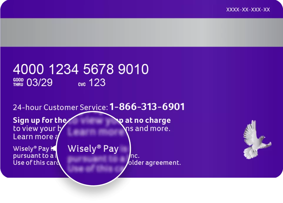 Wisely Pay Card